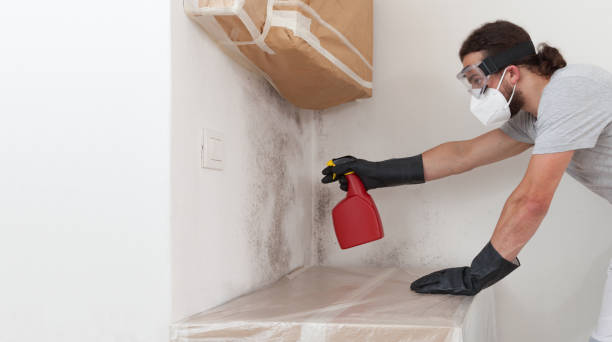 Professional Attic Mold Remediation technician working in Wilson's Mills, NC