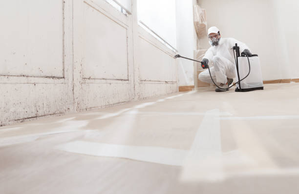 24/7 Emergency Attic Mold Remediation experts in Wilson's Mills, NC
